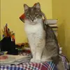 Отзыв от Дина Коновалова
